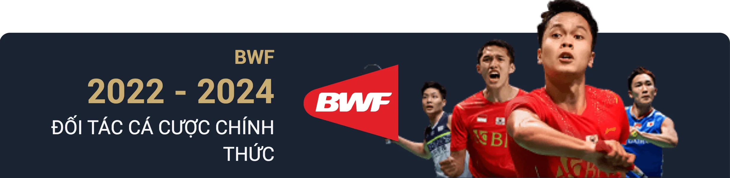 don-vi-tai-tro-m88-03-bwf