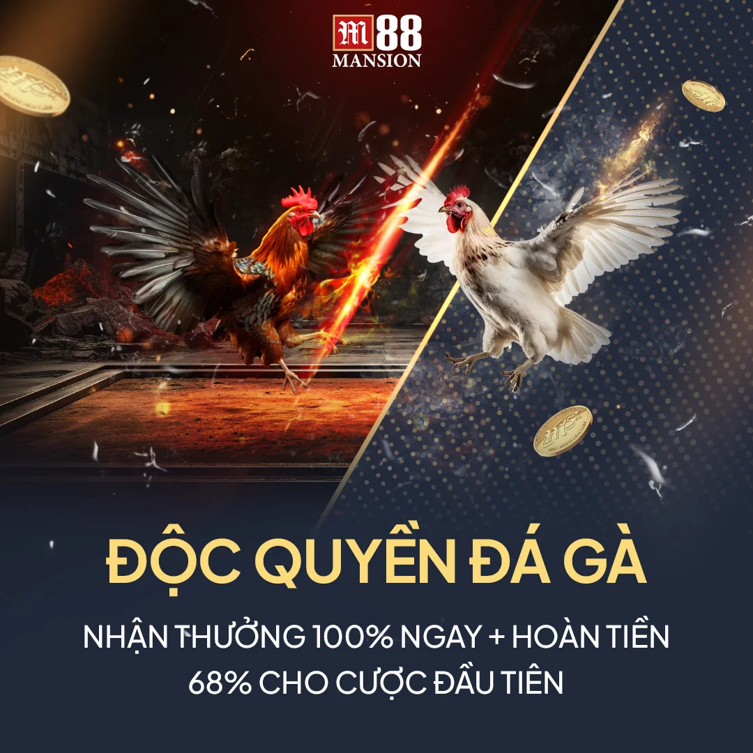 Top game M88 được nhiều người tham gia chơi nhất 15 Đá gà trực tiếp M88